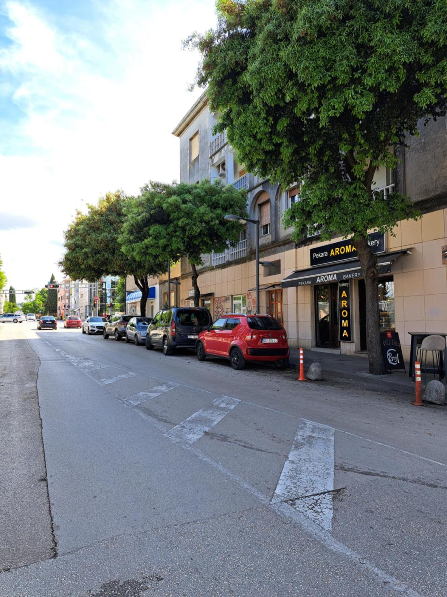 Ksenija Zadar